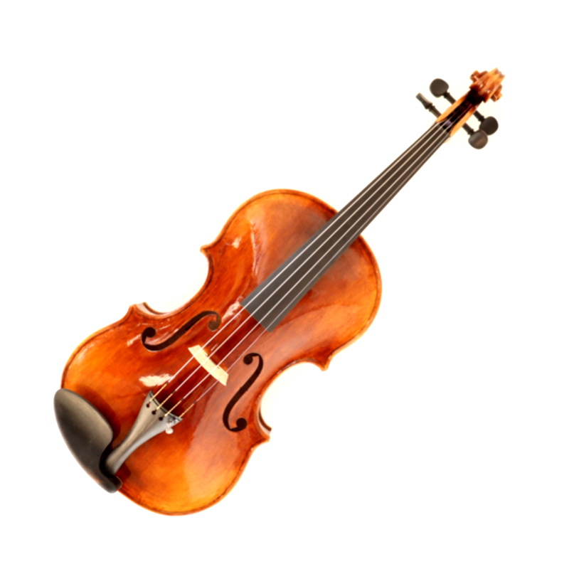 VIOLA BERND DOLLING ★★★ Silver mounted German viola bow by Bernd Dölling - JP Guivier